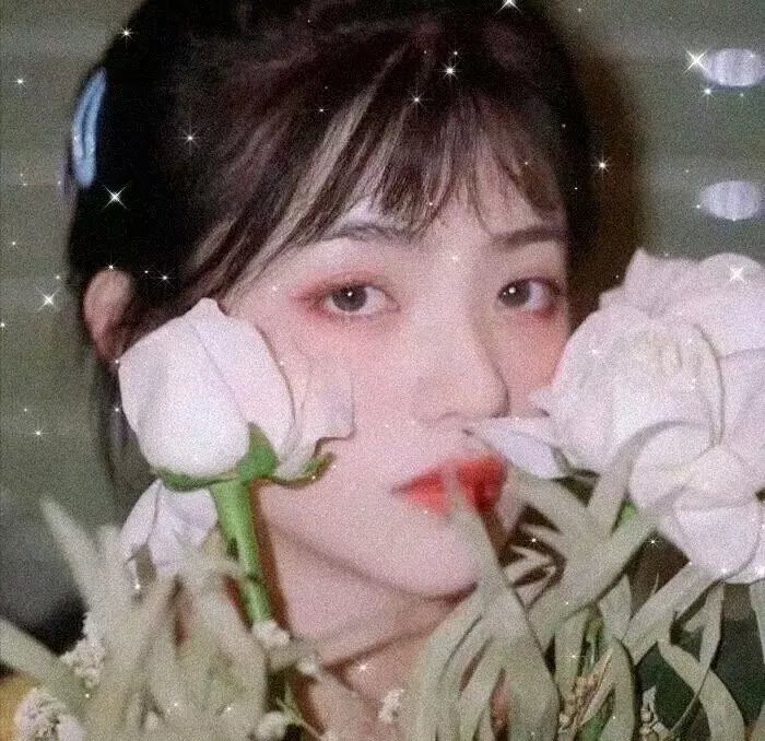 男神恋爱系统·动态漫